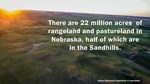 22 Million Acres