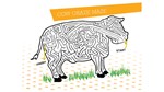Cow Maze Image