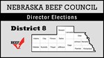 District 8 Election Graphic