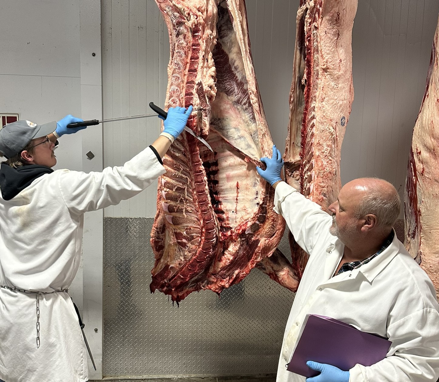 Dietetic Interns Get Hands-On Beef Industry Experience: Focuses on Beef Life Cycle