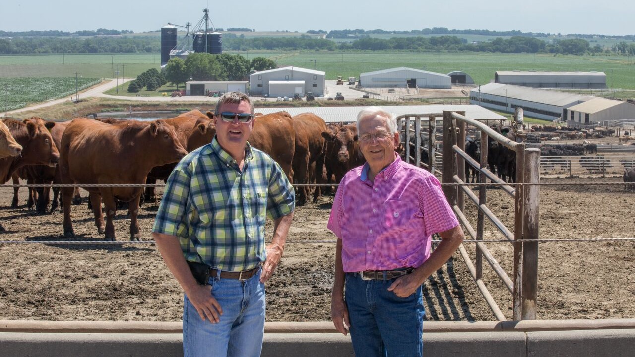 Knobbe Feedyards